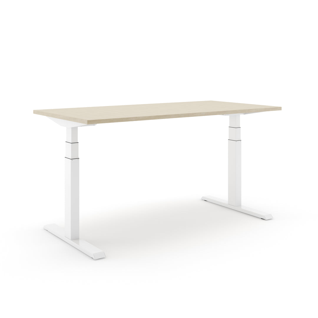 Actiforce Höhenverstellbares Motortischgestell "MOTUS" Hausmarke