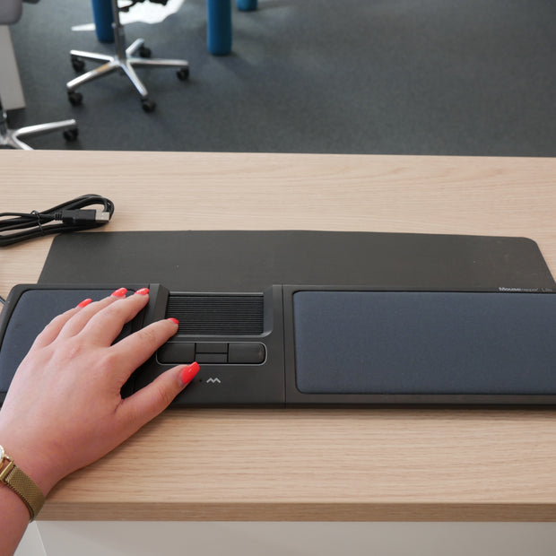 MouseTrapper Lite - Einzelstück