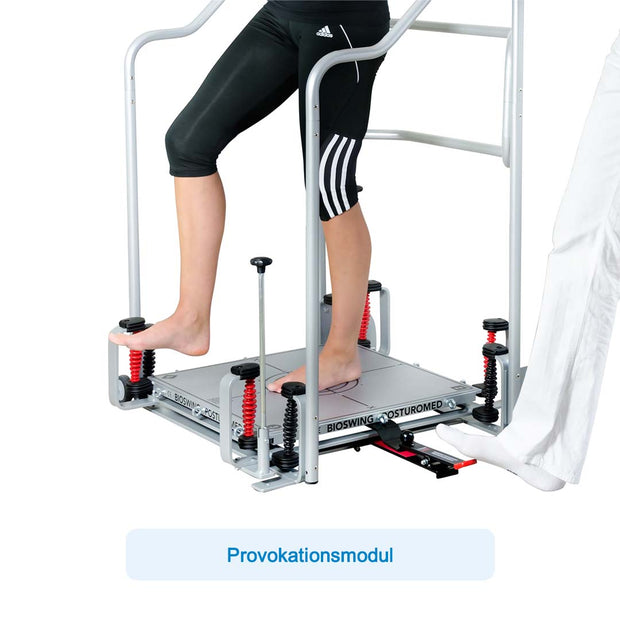 Haider Bioswing Posturomed compact