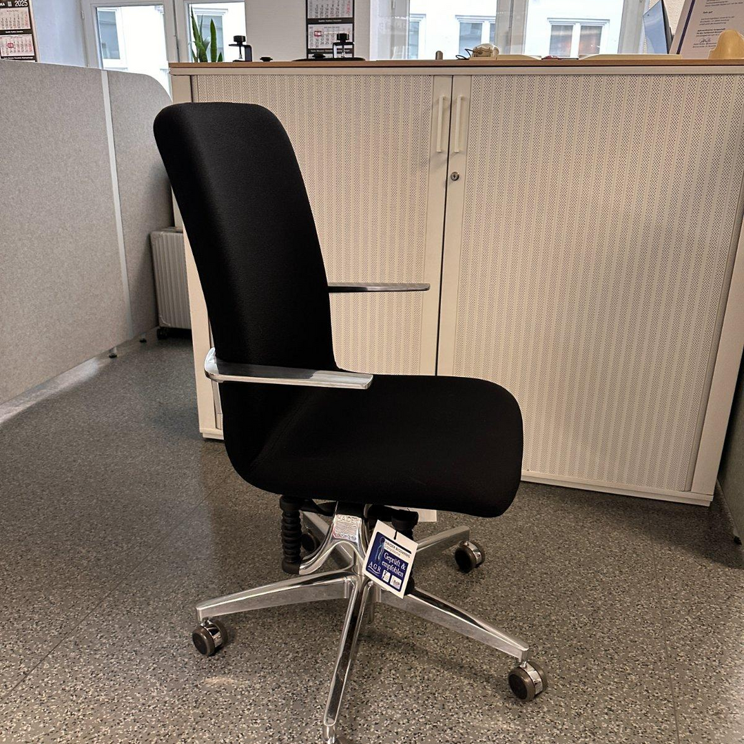 Ausstellungsstück zum Sonderpreis- Haider Bioswing LOOP Bestseller Homeoffice Stuhl