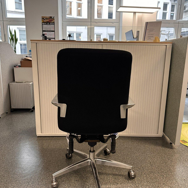 Ausstellungsstück zum Sonderpreis- Haider Bioswing LOOP Bestseller Homeoffice Stuhl