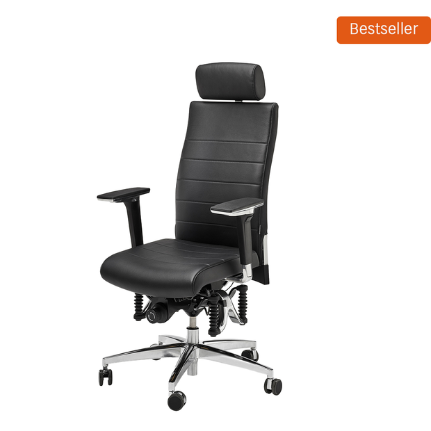 Bürostuhl Haider Bioswing 660 iQ Leder Bestseller