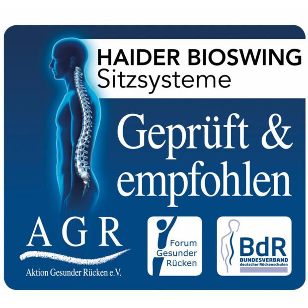 API-Test Bioswing 460 IQ Bestseller / / Hausstuhl