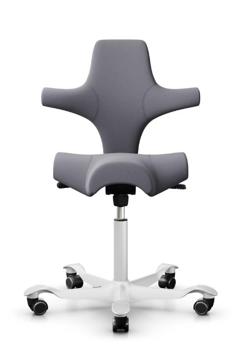 API-Test Sattelstuhl HAG Capisco 8106 (Bestseller)