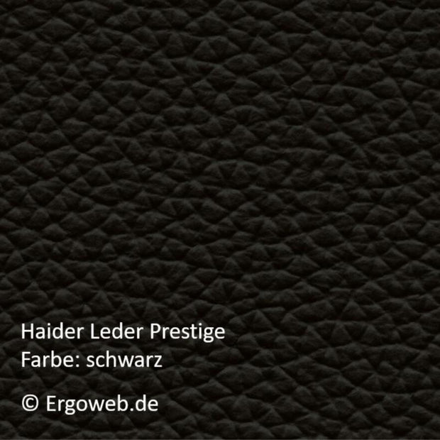 API-Test Bioswing 670 IQ Leder Bestseller