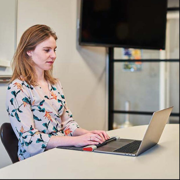 API-Test RollerMouse GO mobile 