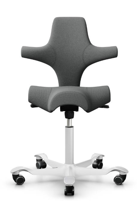 API-Test Sattelstuhl HAG Capisco 8106 (Bestseller)