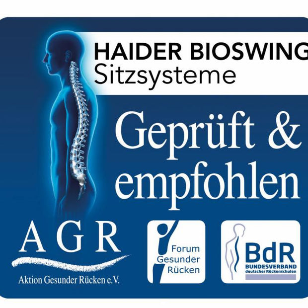 API-Test Haider Bioswing oneUP Eco Bestseller Sattelstuhl