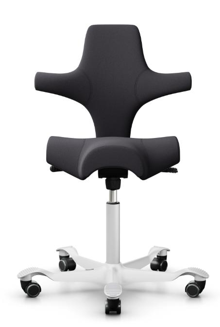 API-Test Sattelstuhl HAG Capisco 8106 (Bestseller)