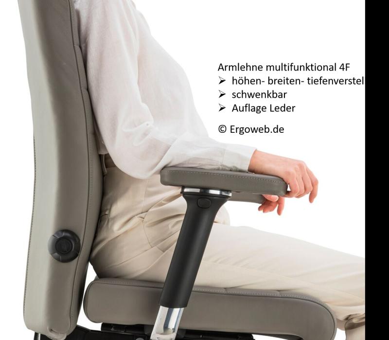 API-Test Bioswing 660 IQ Bestseller Stoff //Hausstuhl