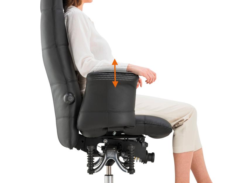 API-Test Bioswing 780 IQ Leder Detensor Bestseller