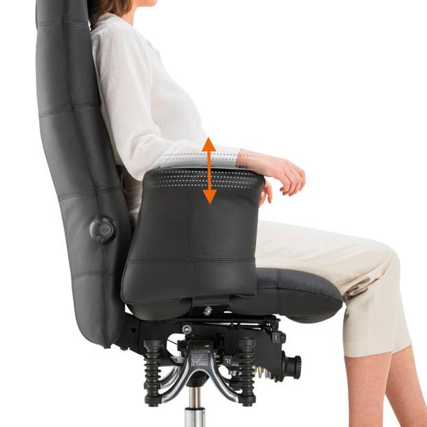 API-Test Bioswing 780 IQ Leder Detensor Bestseller