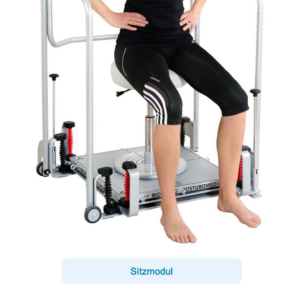 API-Test Bioswing Posturomed 202