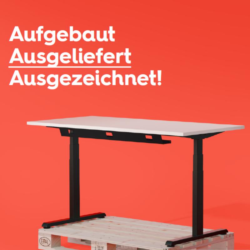 API-Test Flex Motor-Tischgestell / Eigenmarke inkl. Tischplatte