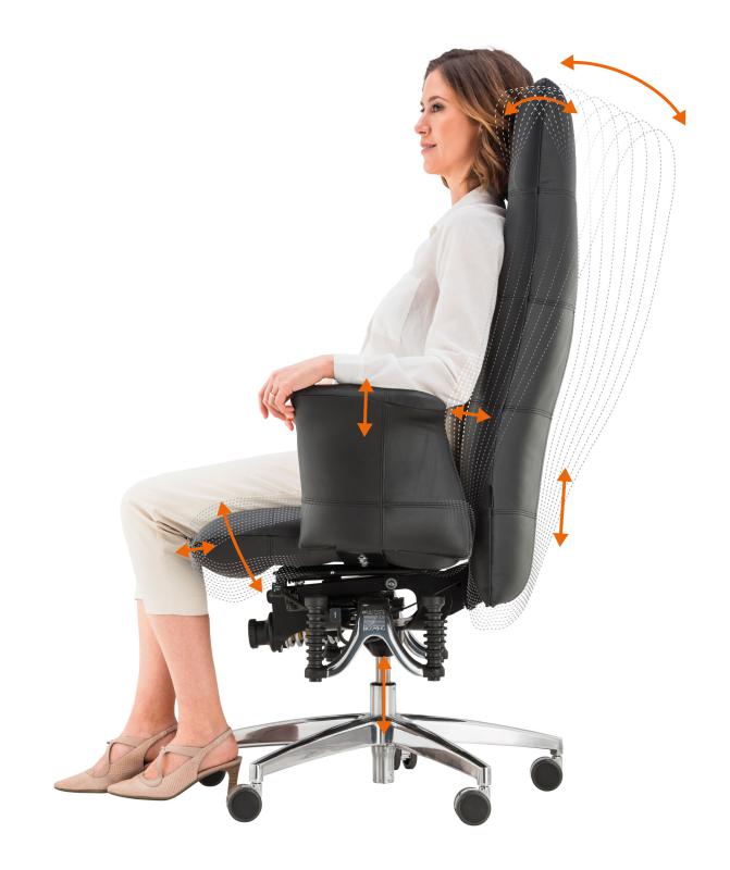 API-Test Bioswing 780 Bestseller/Dick-Leder