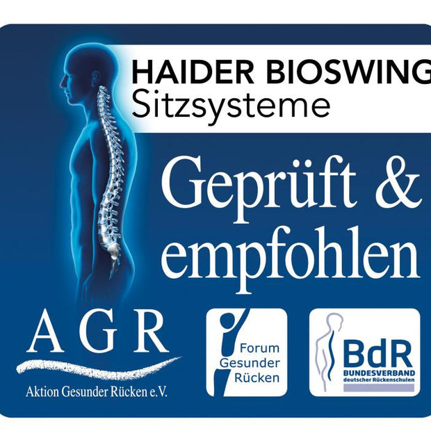 API-Test Haider Bioswing oneUP Bestseller Sattelstuhl