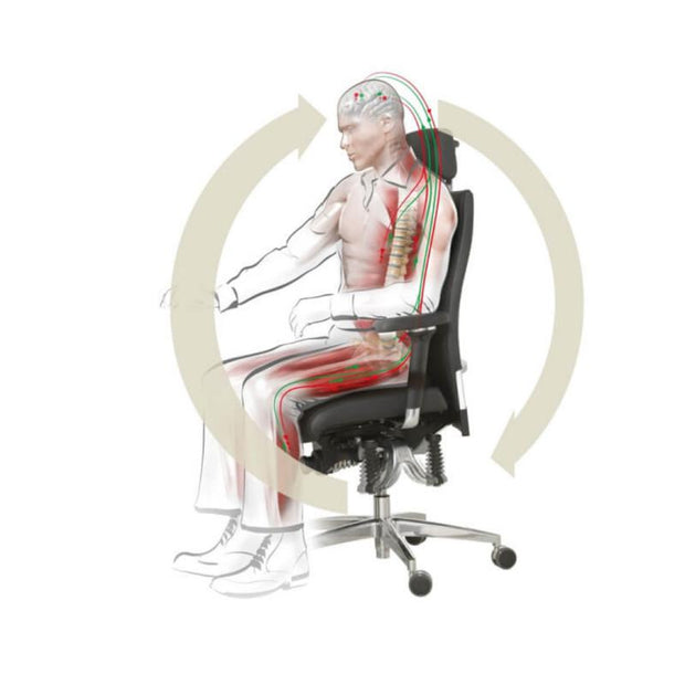 API-Test Bioswing 460 IQ Bestseller / / Hausstuhl