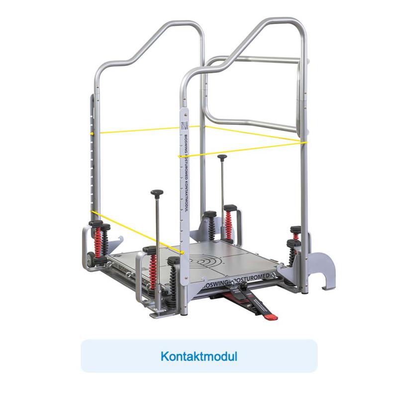 API-Test Bioswing Posturomed 202