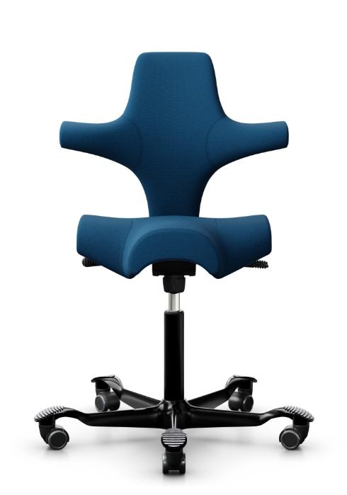 API-Test Sattelstuhl HAG Capisco 8106 (Bestseller)