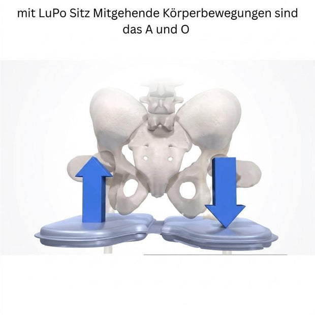 API-Test Wupperchair Bürostuhl Muvback - mit geteilter Rückenlehne