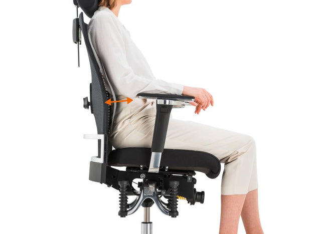 API-Test Bioswing 660 IQ Bestseller/Dick-Leder 