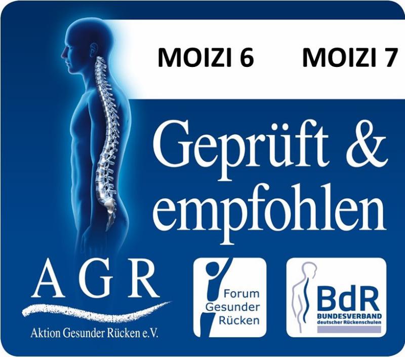 API-Test Moizi 6 - Kinderstuhl Vollpolster - Einzelstück