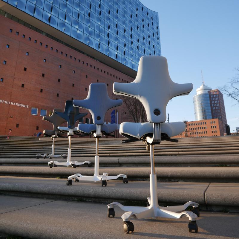 API-Test Sattelstuhl HAG Capisco 8106 (Bestseller)