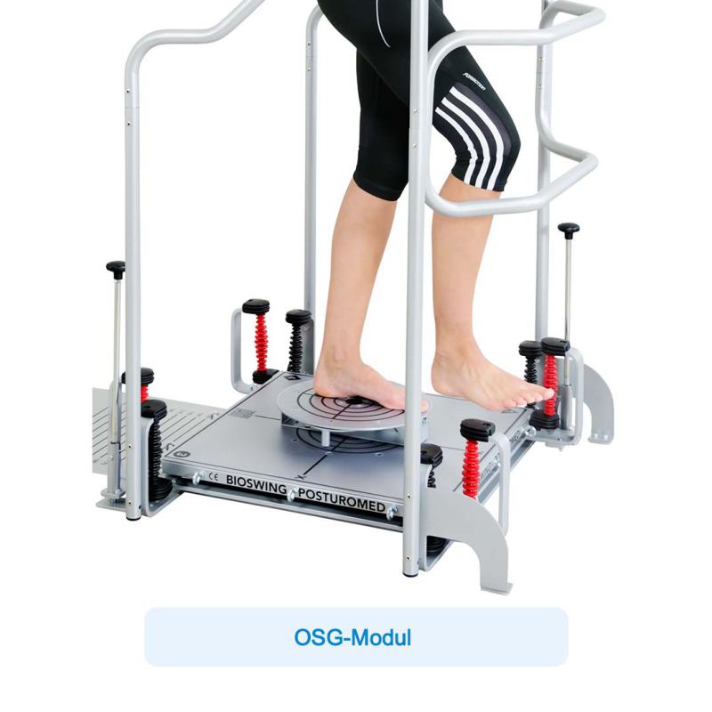 API-Test Bioswing Posturomed 202