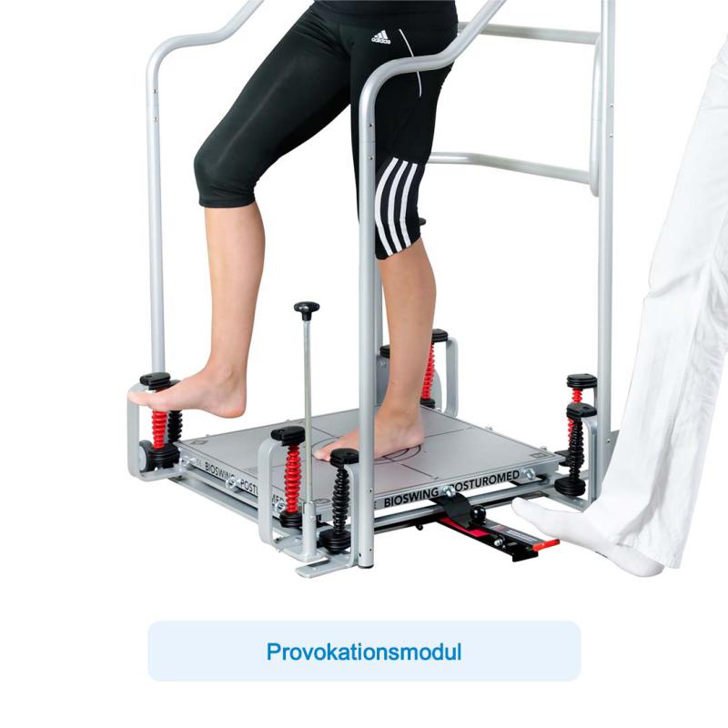 API-Test Bioswing Posturomed 202