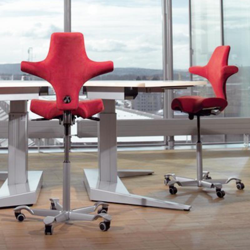 API-Test Sattelstuhl HAG Capisco 8106 (Bestseller)