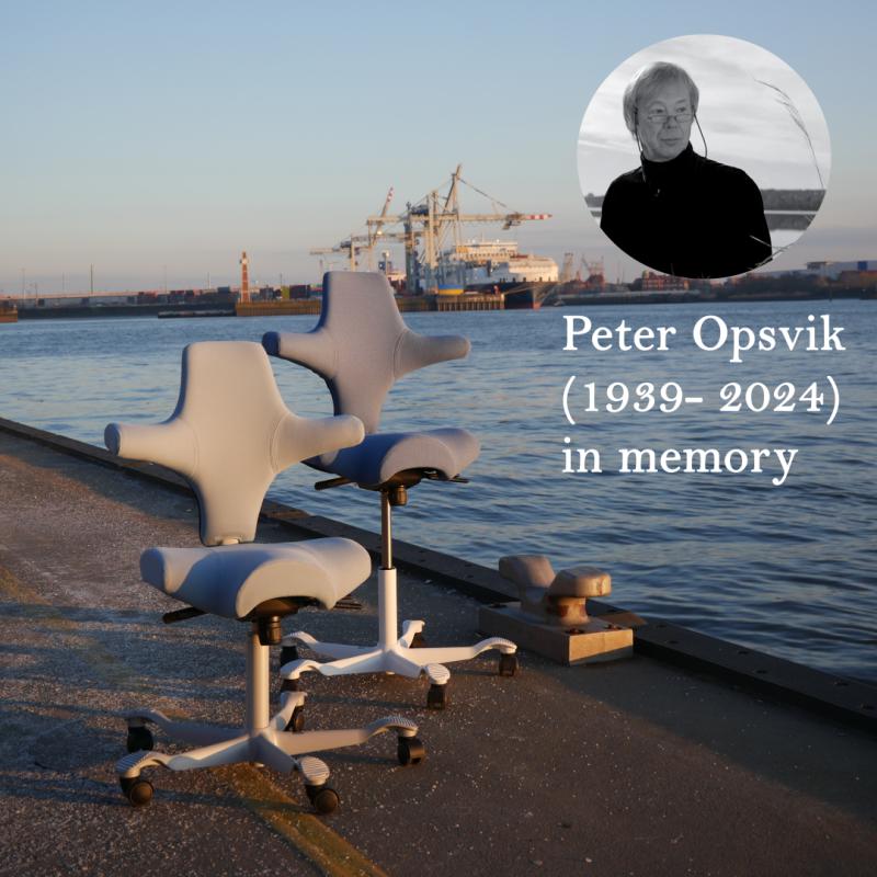 API-Test Sattelstuhl HAG Capisco 8106 (Bestseller)