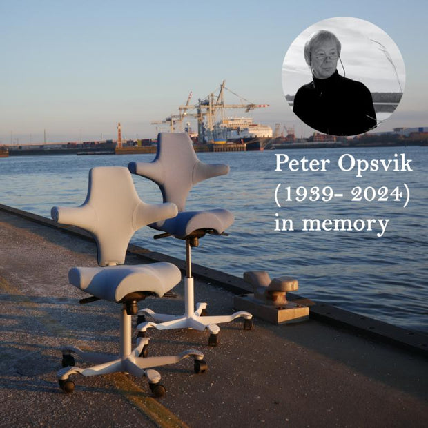 API-Test Sattelstuhl HAG Capisco 8106 (Bestseller)