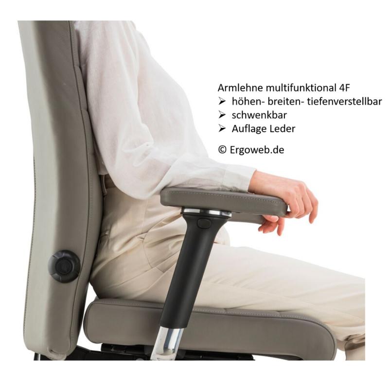API-Test Bioswing 460 IQ Bestseller / / Hausstuhl
