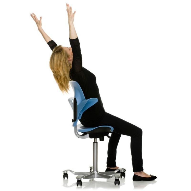 API-Test HAG Capisco Puls 8010 Sattelstuhl