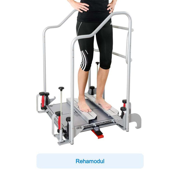 API-Test Bioswing Posturomed 202