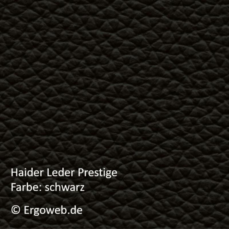 API-Test Bioswing 670 IQ Leder Bestseller
