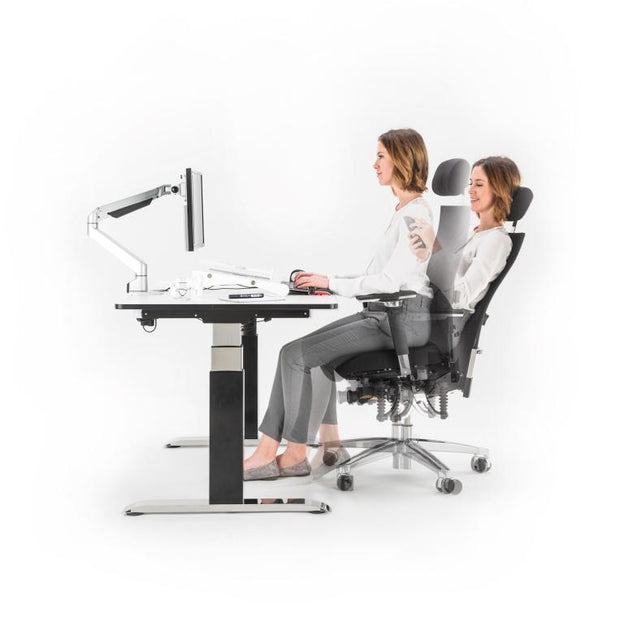API-Test Bioswing 660 IQ Bestseller Stoff //Hausstuhl
