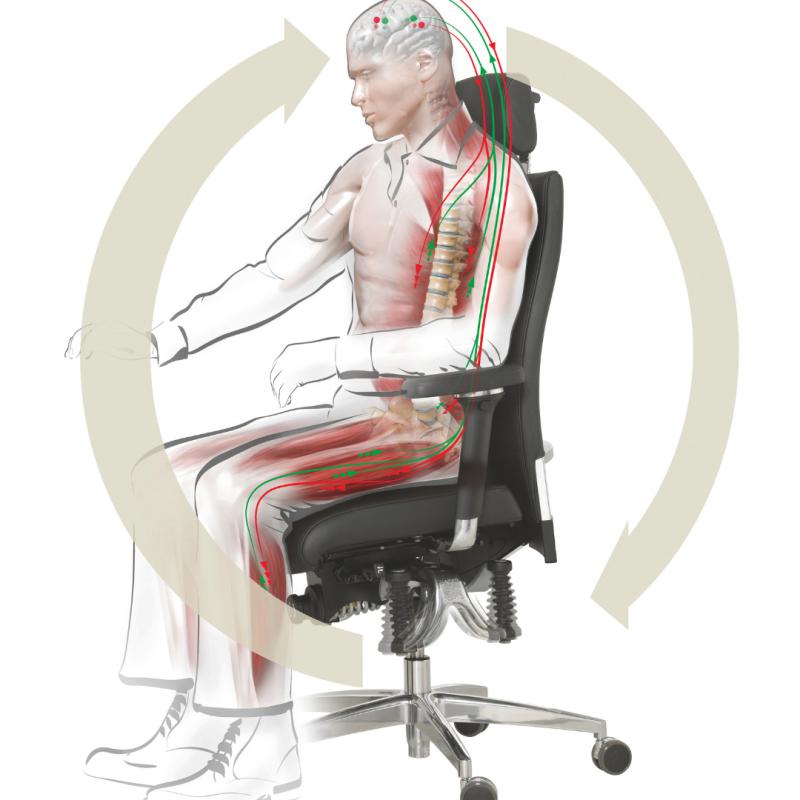 API-Test Bürostuhl Bioswing 360 iQ Hausstuhl mit Nackenstütze, BB und Gestell Alu poliert