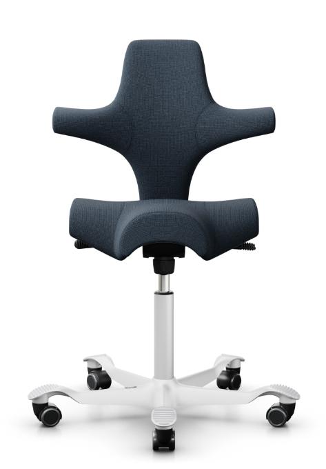 API-Test Sattelstuhl HAG Capisco 8106 (Bestseller)