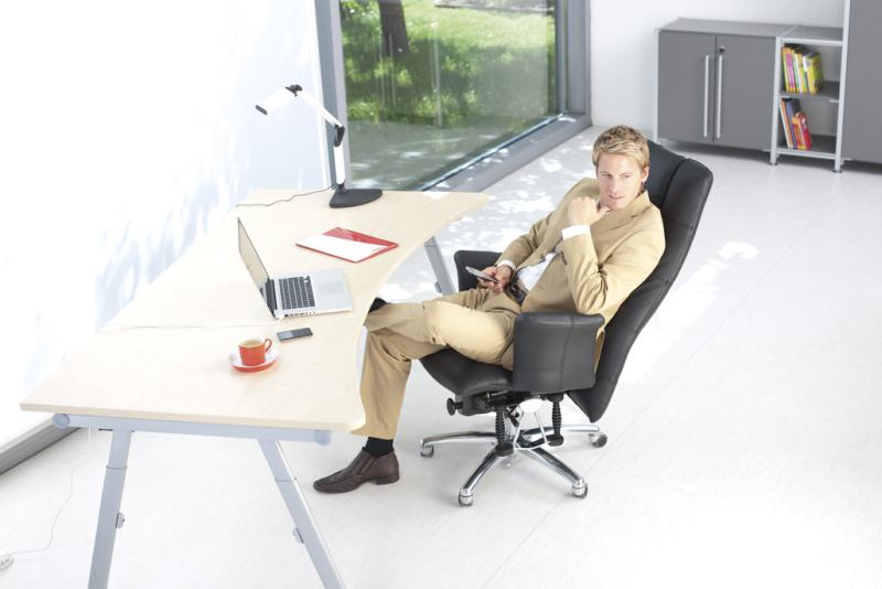 API-Test Bioswing 780 Bestseller/Dick-Leder
