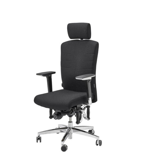 Bioswing 560 IQ-Bestseller / / Hausstuhl