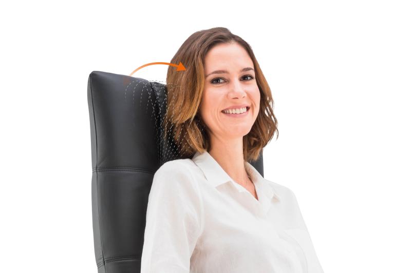API-Test Bioswing 780 Bestseller/Dick-Leder