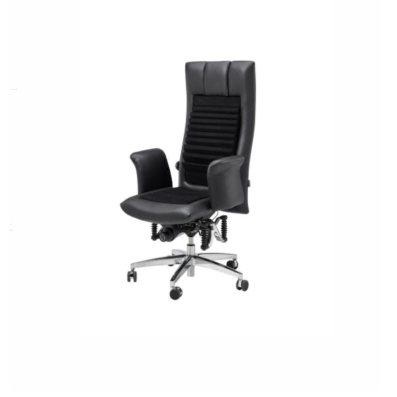 API-Test Bioswing 780 IQ Leder Detensor Bestseller