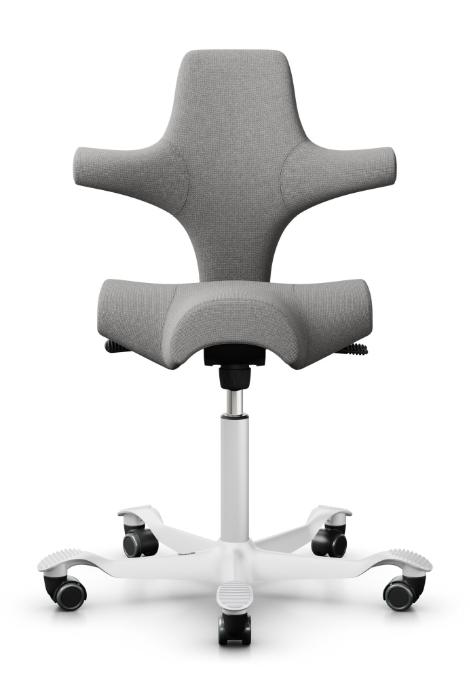 API-Test Sattelstuhl HAG Capisco 8106 (Bestseller)