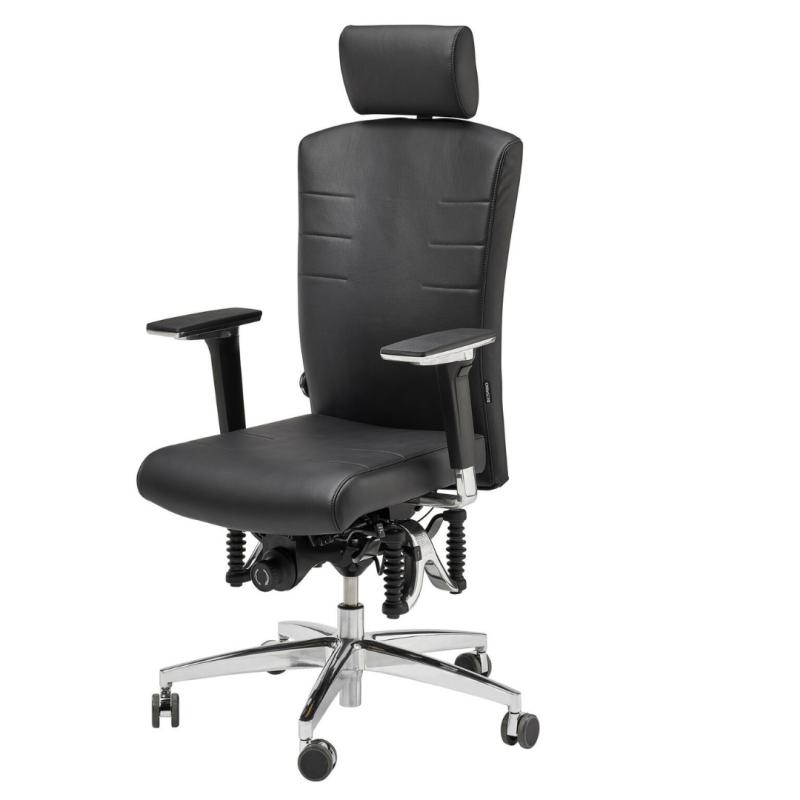 API-Test Bioswing 560 IQ Bestseller/Dick-Leder 