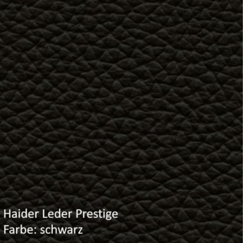 API-Test Bioswing 560 IQ Bestseller/Dick-Leder 