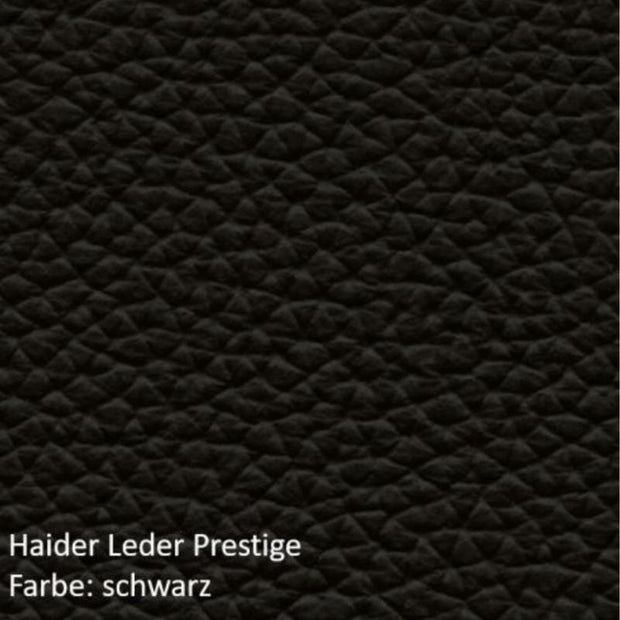 API-Test Bioswing 560 IQ Bestseller/Dick-Leder 