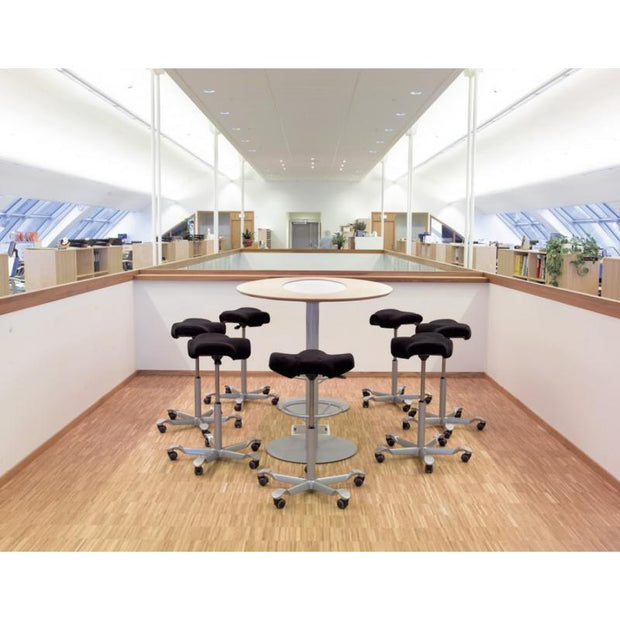 API-Test HAG Capisco  8105 Sattelhocker